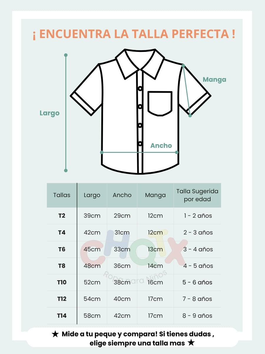 CAMISA COTTON