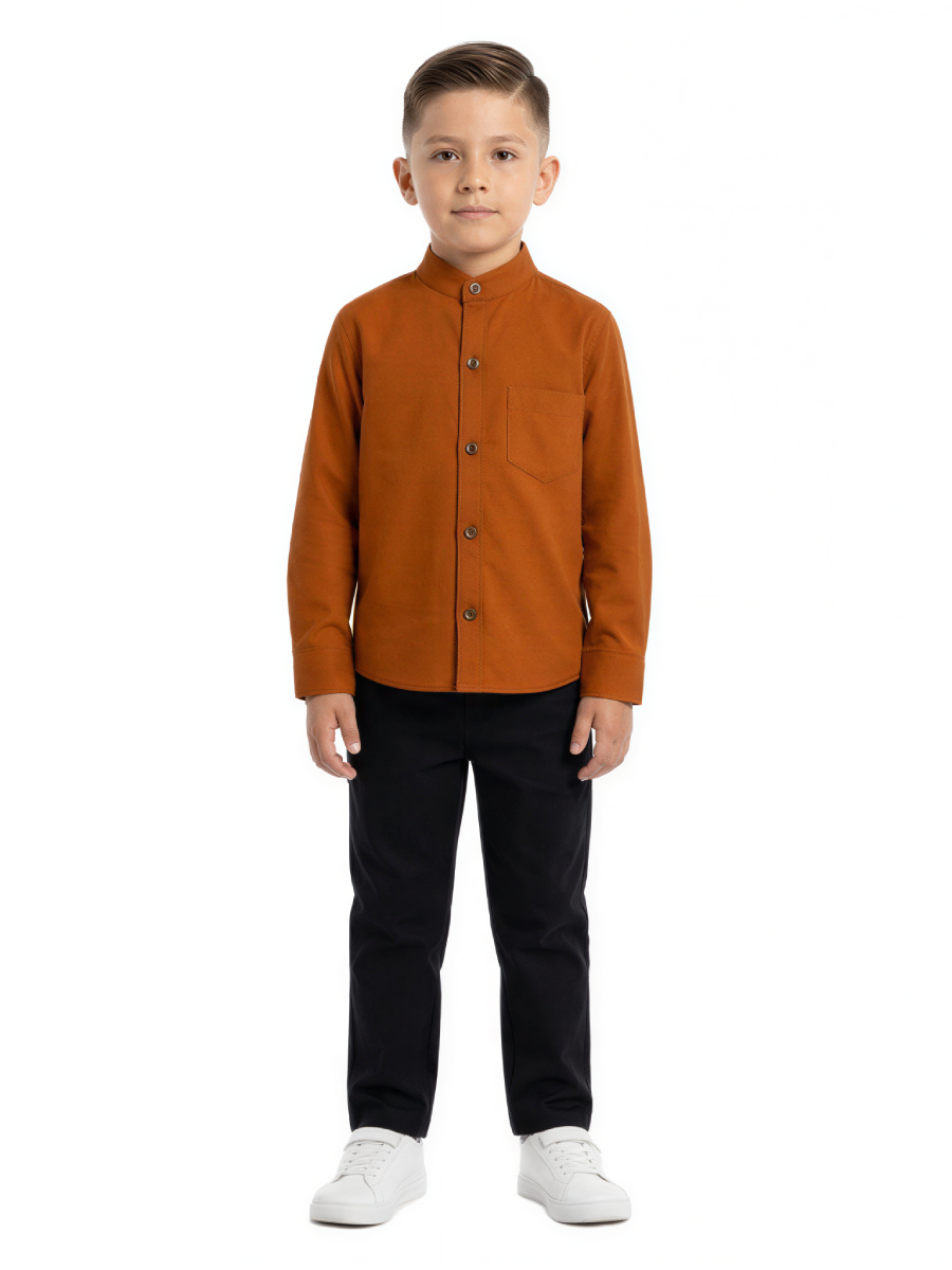 CAMISA LINO MANGA LARGA