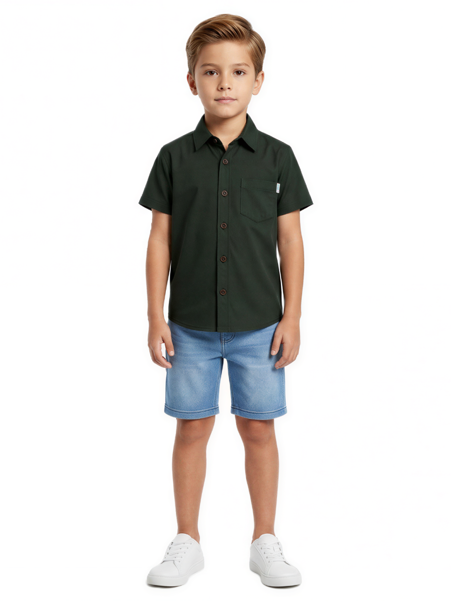 CAMISA LINO MANGA CORTA