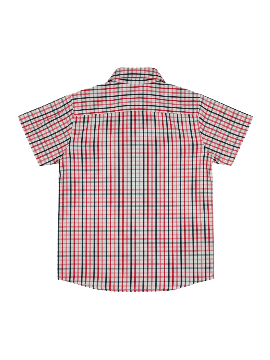CAMISA  COTTON