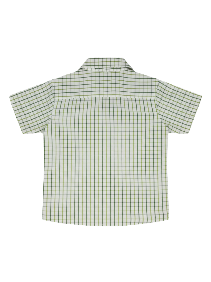 CAMISA  COTTON