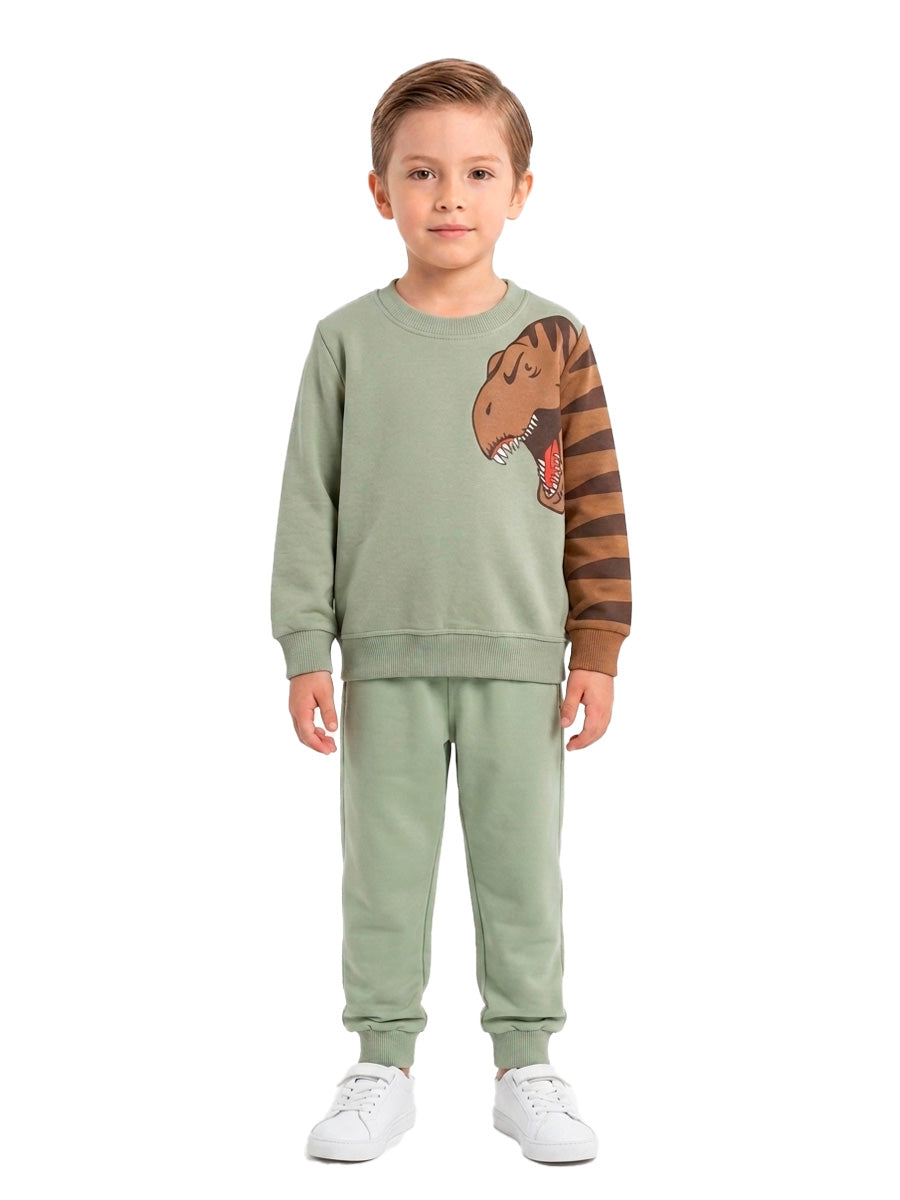 POLERA FRANELA RAWR