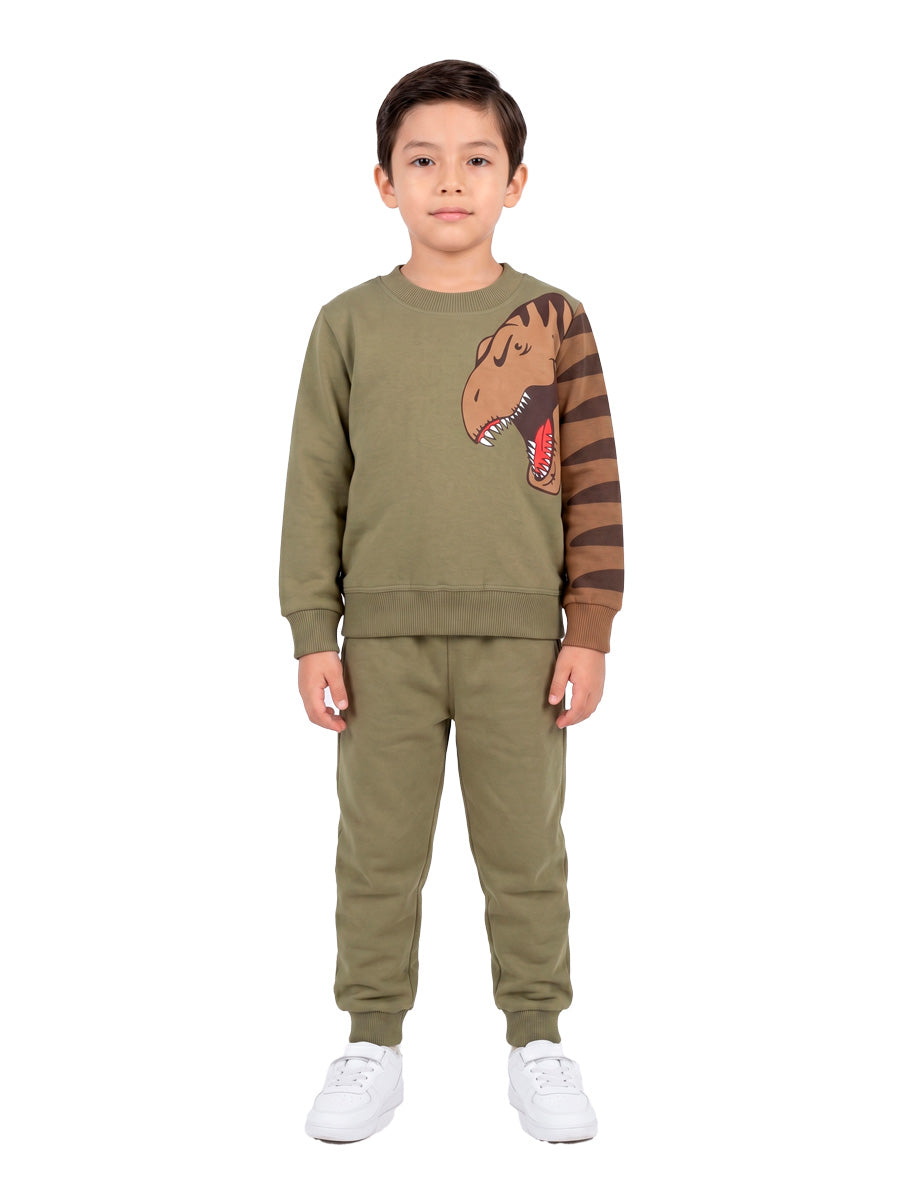 POLERA FRANELA RAWR