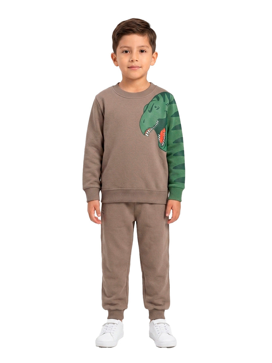 POLERA FRANELA RAWR