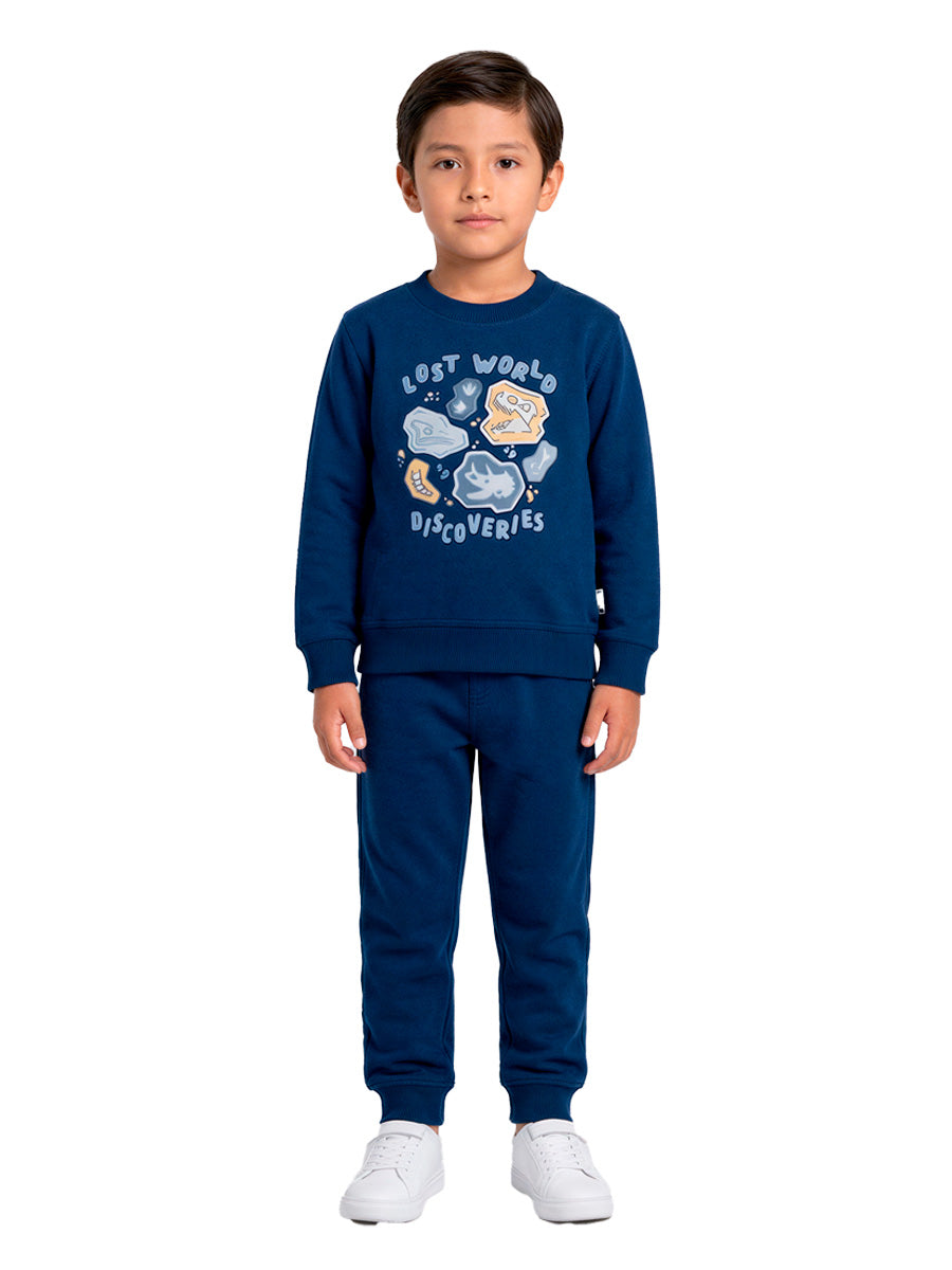 POLERA FRANELA DINO WORLD