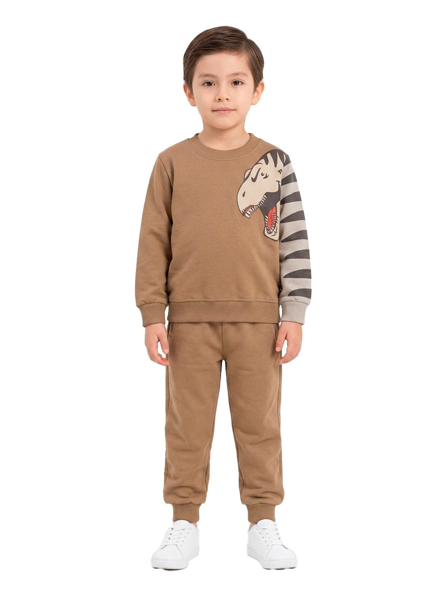 POLERA FRANELA RAWR