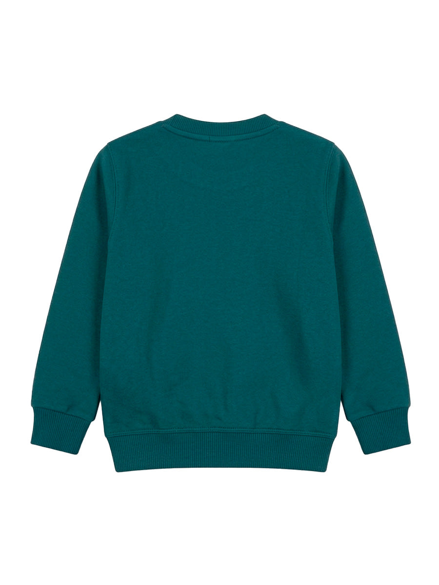 POLERA FRANELA MONTAÑA