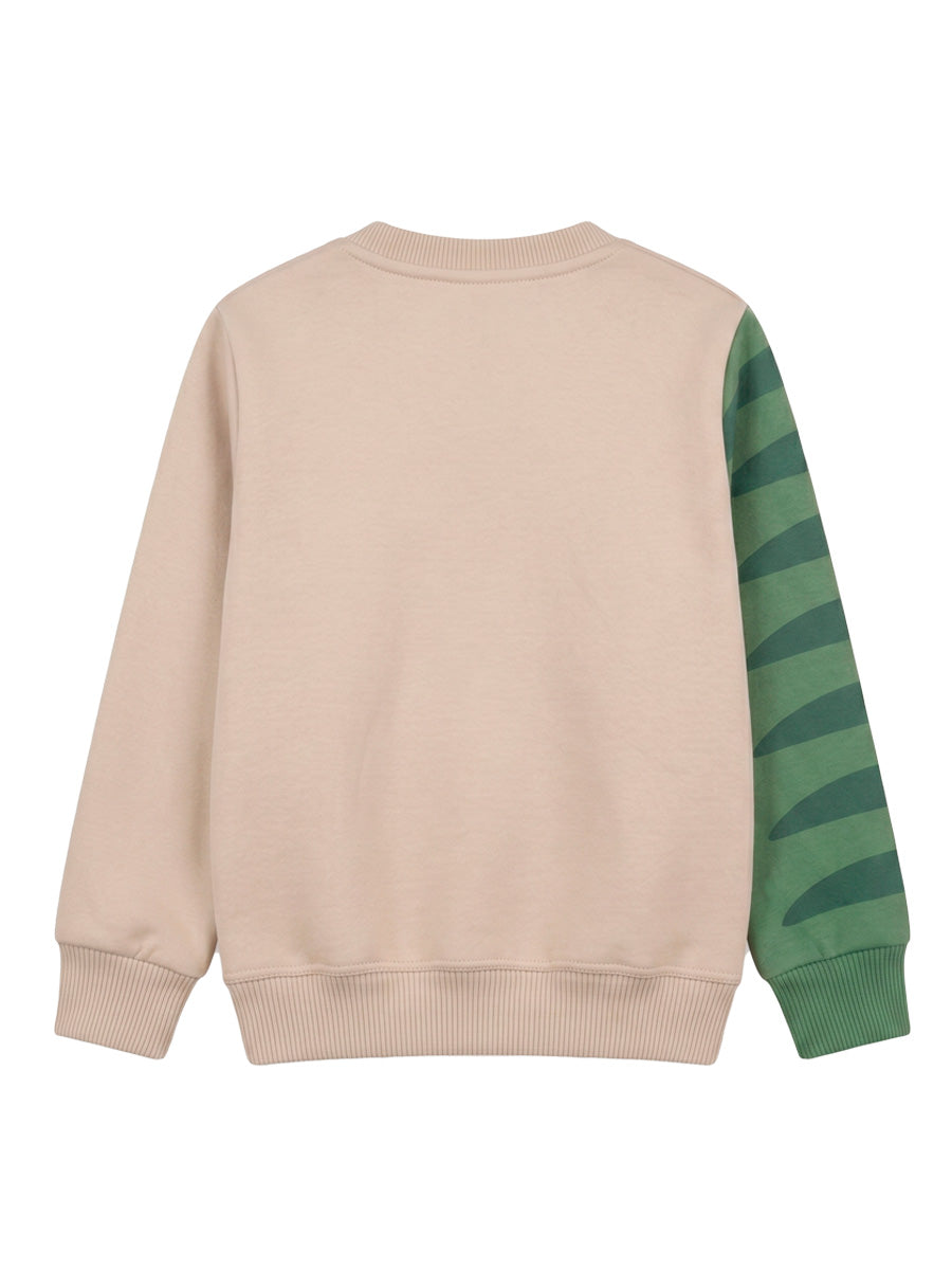 POLERA FRANELA RAWR