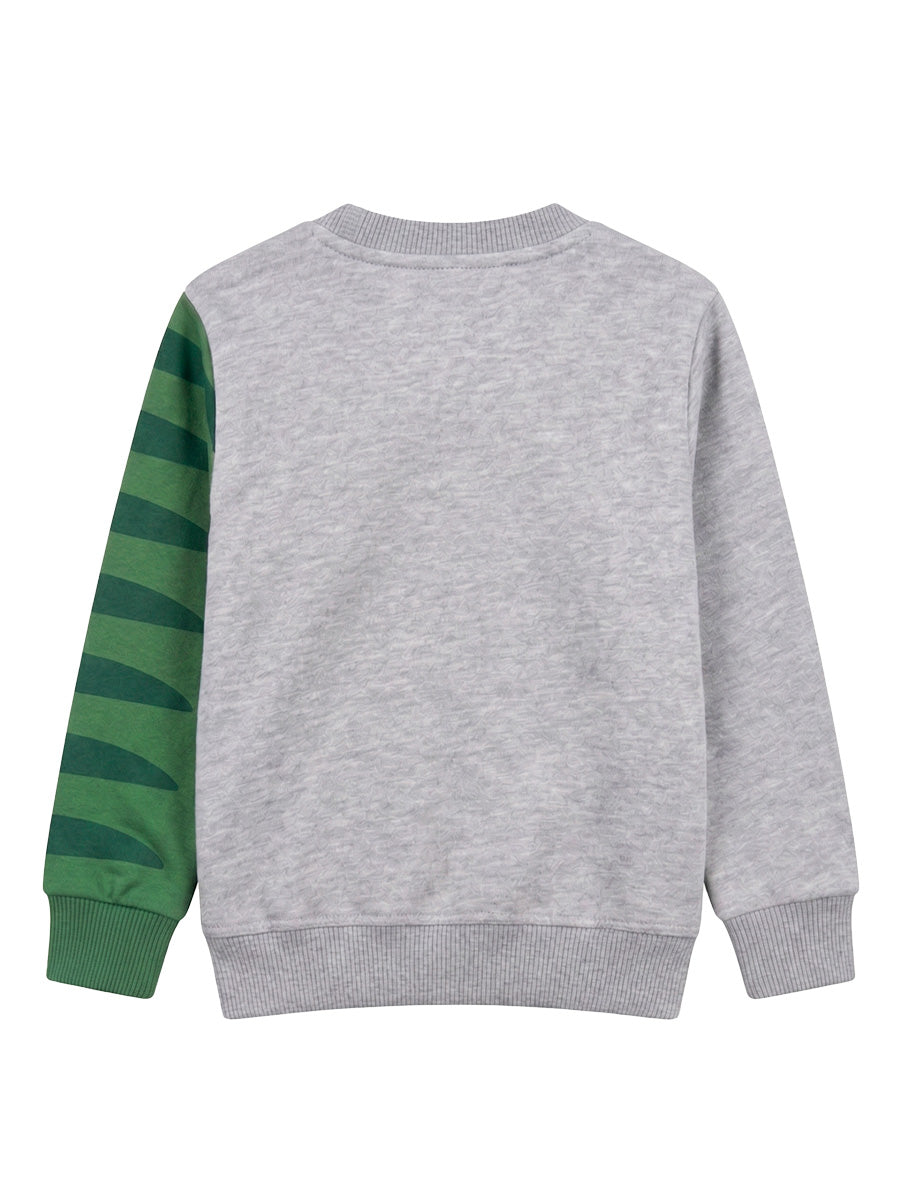 POLERA FRANELA RAWR