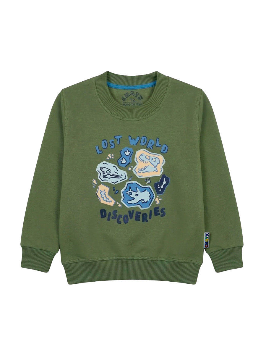 POLERA FRANELA DINO WORLD