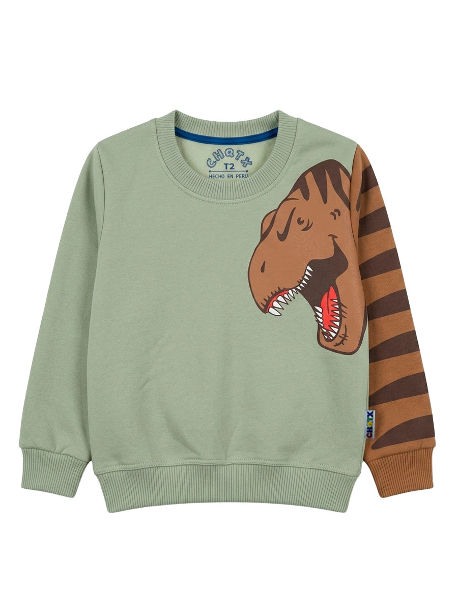 POLERA FRANELA RAWR